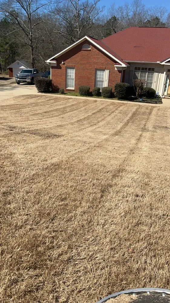 Top-rated yard maintenance in Columbus, GA by 1 Stop Lawn Care