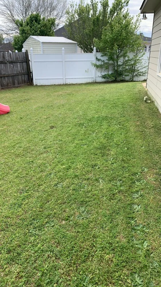 Expert yard cleanup service experts serving Columbus, GA - 1 Stop Lawn Care