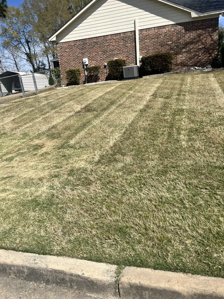 Local yard cleanup service in Columbus, GA by 1 Stop Lawn Care