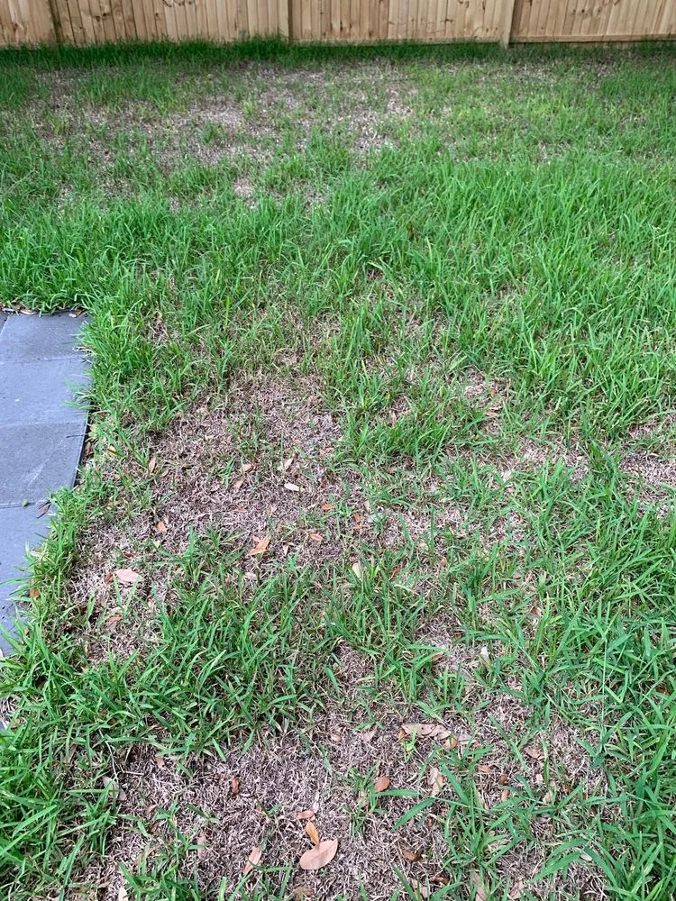 Local lawn care service for residential properties across Orlando, FL - 1 Stop Sod & Landscaping
