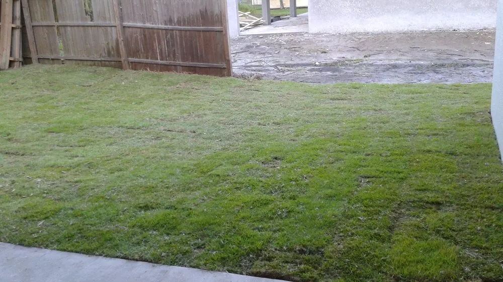 Custom garden landscaping in Orlando, FL - 1 Stop Sod & Landscaping