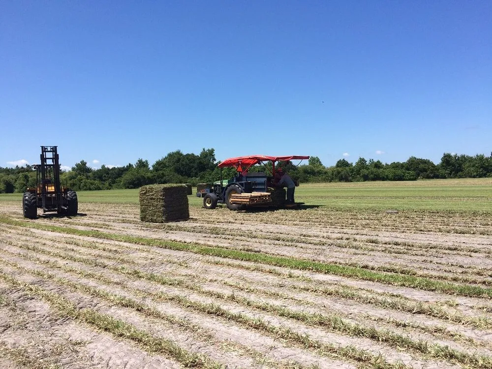Custom outdoor landscaping for homes across Orlando, FL - 1 Stop Sod & Landscaping