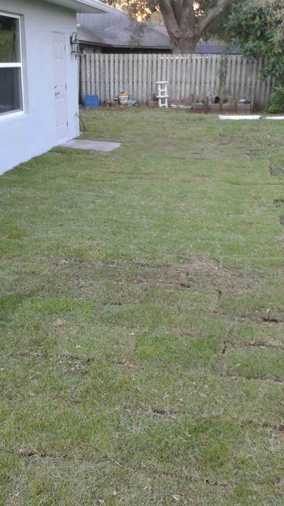 Affordable yard cleanup service in Orlando, FL by 1 Stop Sod & Landscaping