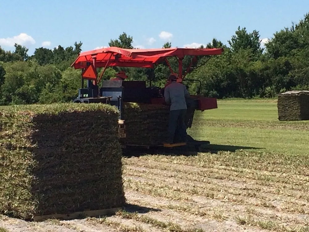 Affordable landscape installation near you across Orlando, FL - 1 Stop Sod & Landscaping