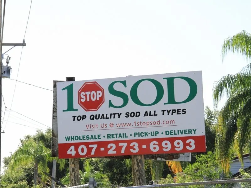 Custom landscaping services for year-round maintenance in Orlando, FL by 1 Stop Sod & Landscaping