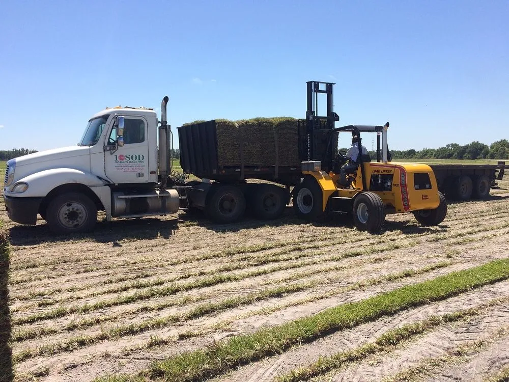 Reliable yard cleanup service experts serving Orlando, FL - 1 Stop Sod & Landscaping