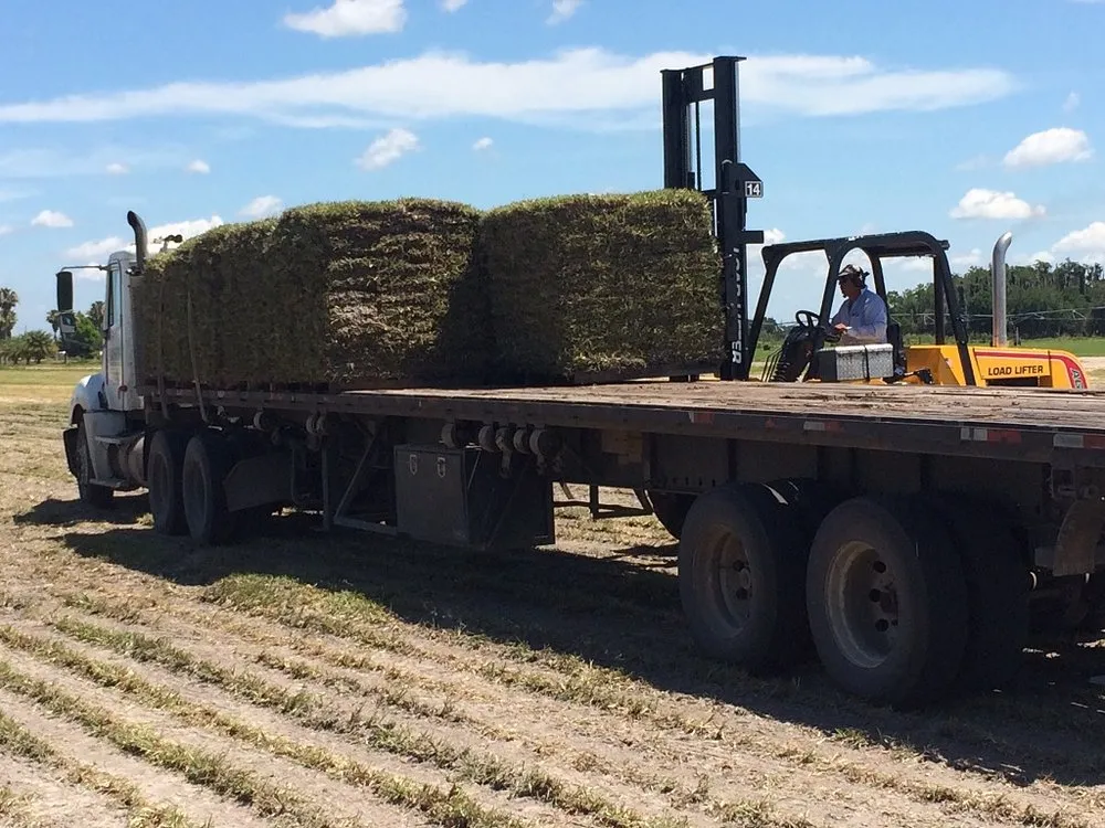 Local outdoor landscaping in Orlando, FL - 1 Stop Sod & Landscaping