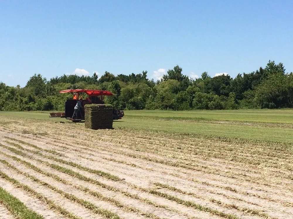 Expert landscape design in Orlando, FL by 1 Stop Sod & Landscaping