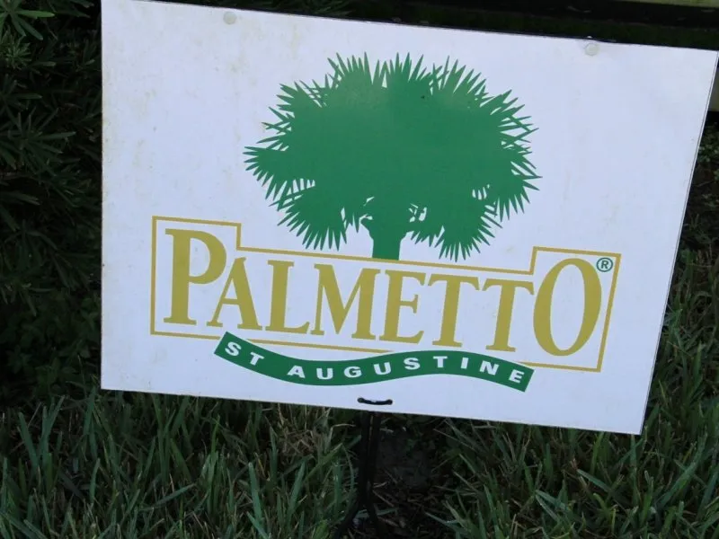 Affordable lawn mowing service in Orlando, FL by 1 Stop Sod & Landscaping