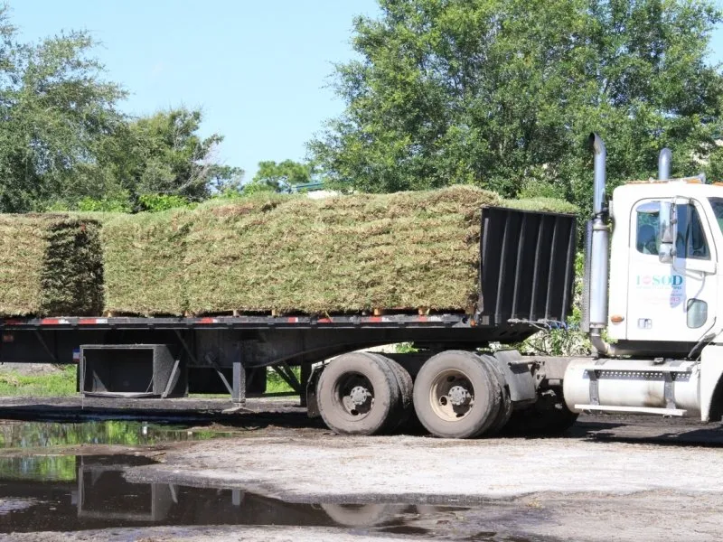 Top-rated garden landscaping for beautiful yards in Orlando, FL by 1 Stop Sod & Landscaping