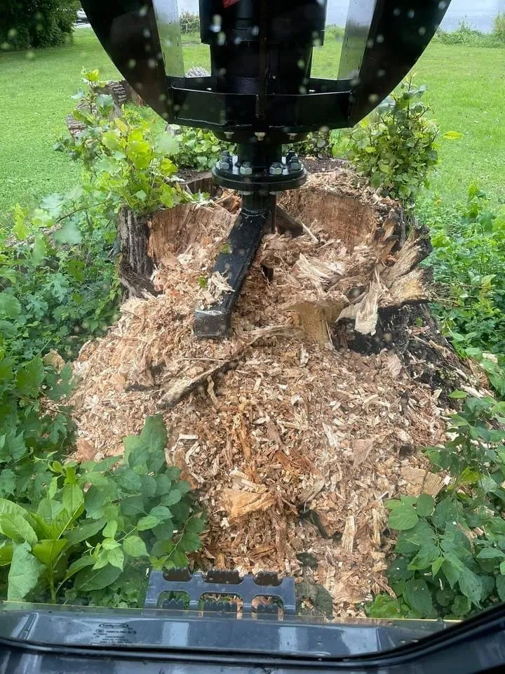 Professional outdoor landscaping experts serving Osceola, IN - 1 TEC Properties