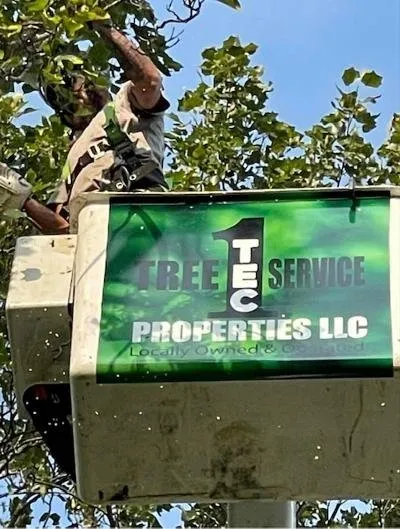 Custom lawn care service in Osceola, IN - 1 TEC Properties