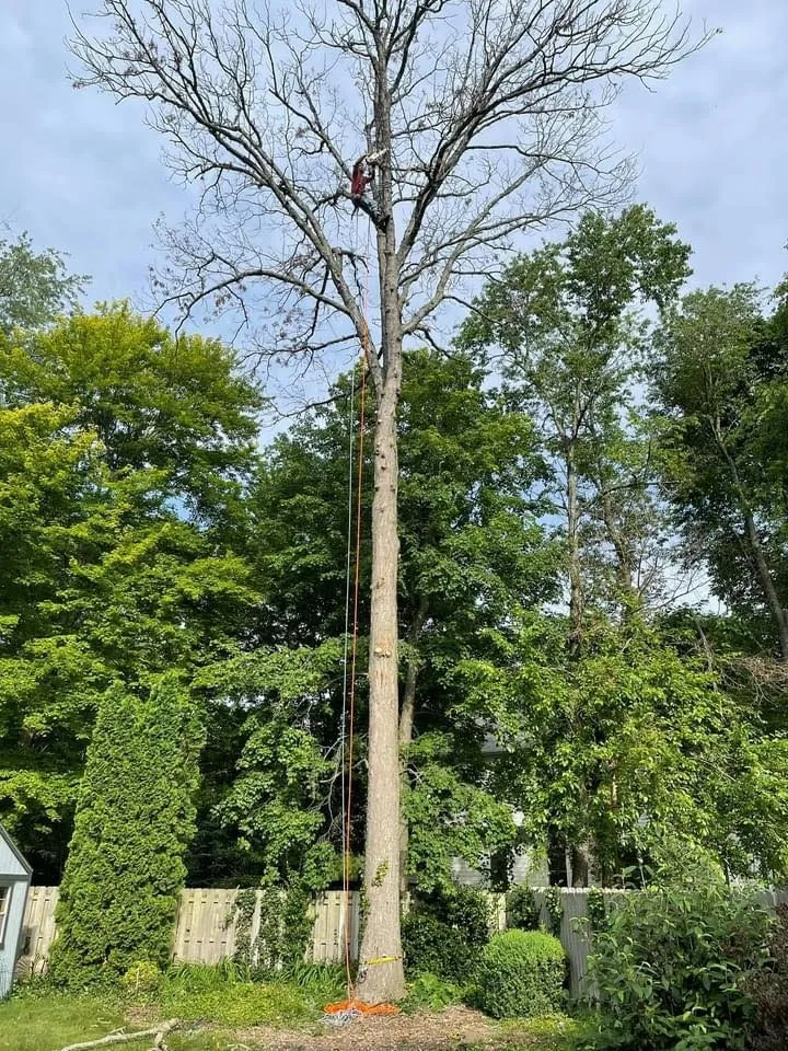 Affordable landscape design near you in Osceola, IN by 1 TEC Properties