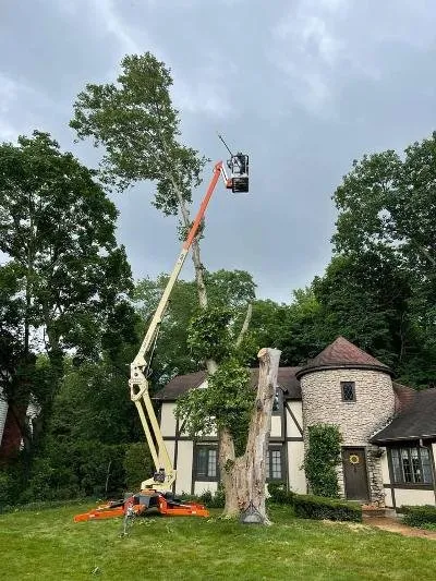 Local lawn mowing service for residential properties across Osceola, IN - 1 TEC Properties