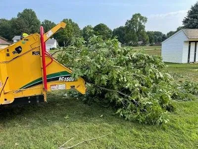 Custom yard cleanup service experts serving Osceola, IN - 1 TEC Properties