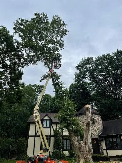 Affordable landscaping services for year-round maintenance in Osceola, IN by 1 TEC Properties