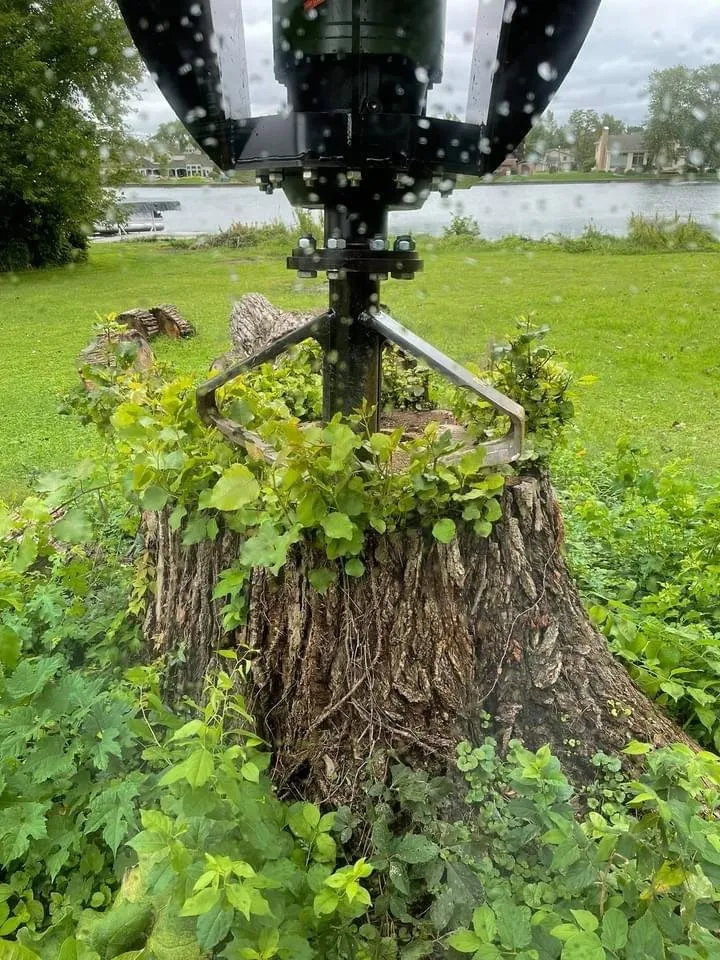 Reliable lawn care service with custom design in Osceola, IN by 1 TEC Properties