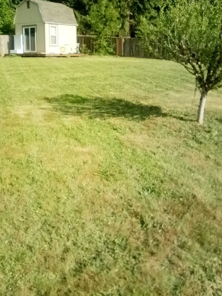 Custom lawn care service with custom design across Tacoma, WA - 1 Wolf Landscaping