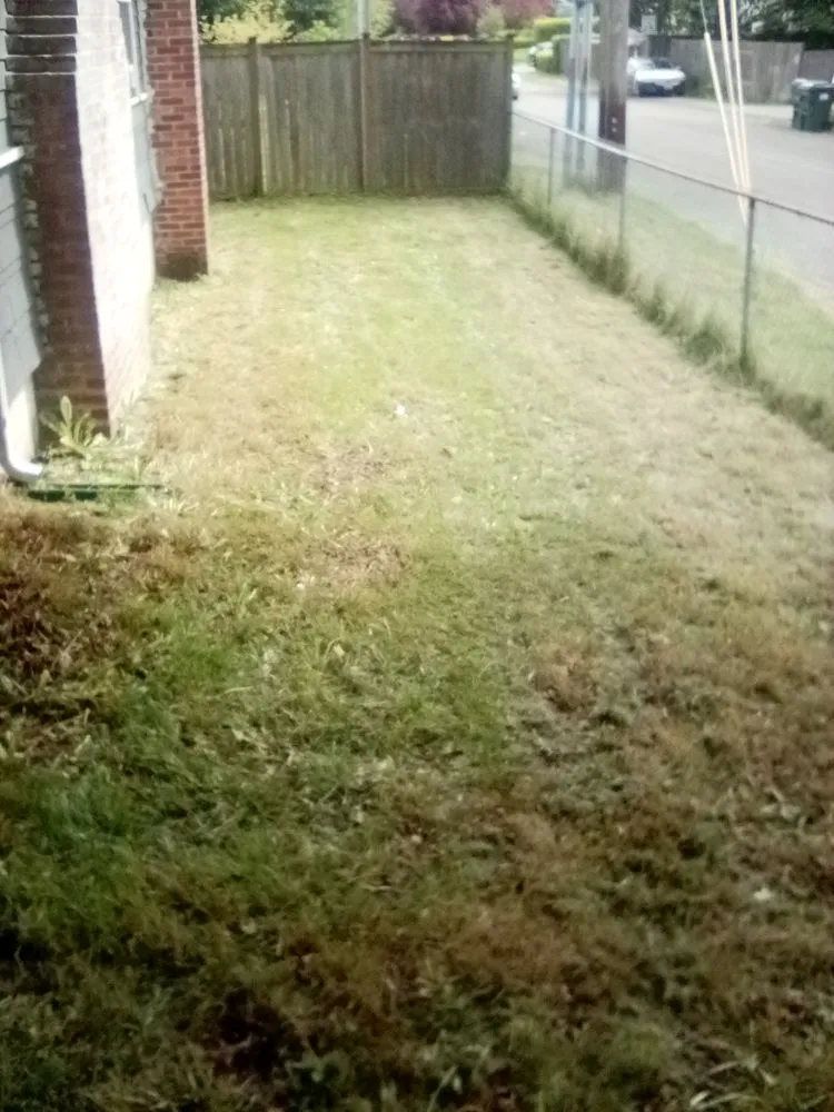 Affordable outdoor landscaping experts serving Tacoma, WA - 1 Wolf Landscaping