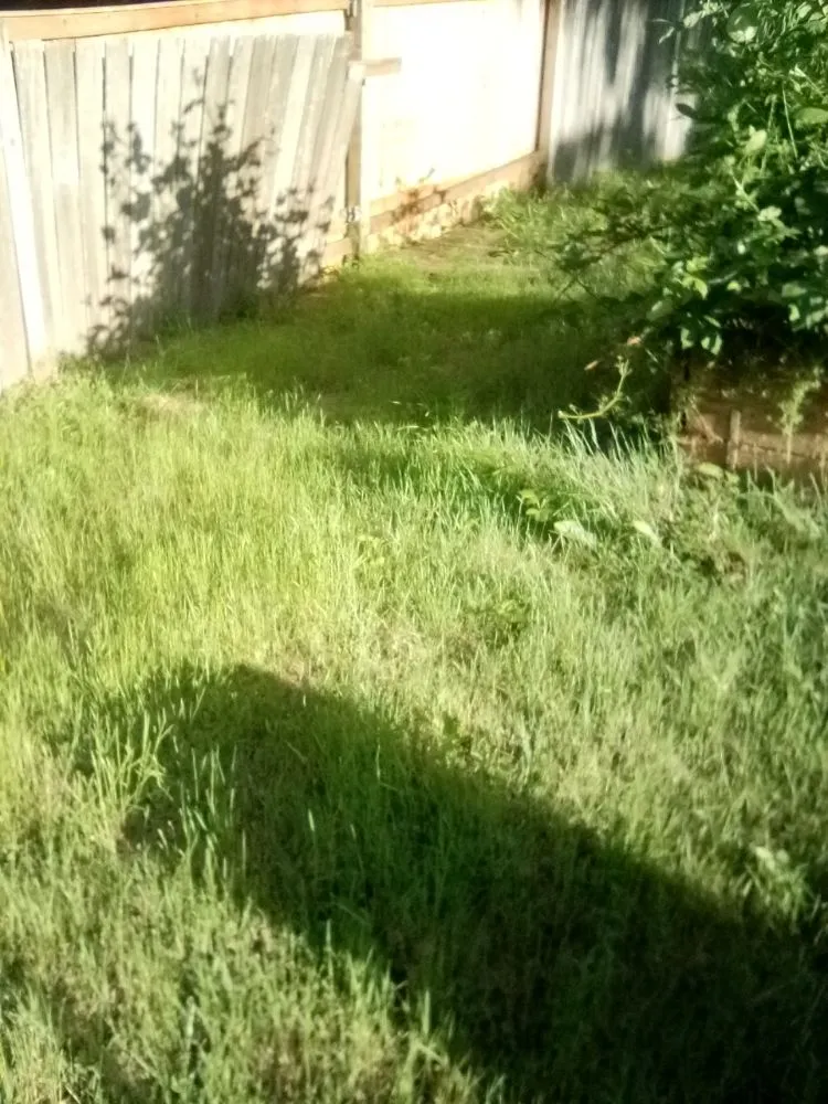 Trusted landscaping services near you in Tacoma, WA by 1 Wolf Landscaping