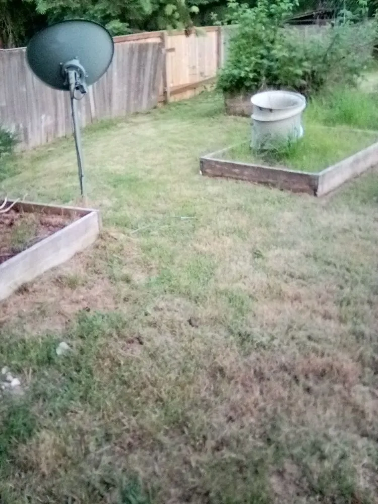 Expert lawn care service for beautiful yards in Tacoma, WA by 1 Wolf Landscaping