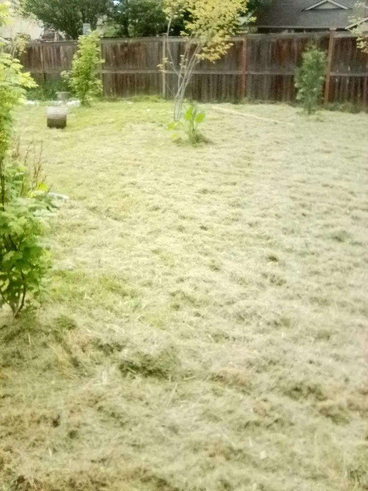 Professional yard maintenance for beautiful yards across Tacoma, WA - 1 Wolf Landscaping