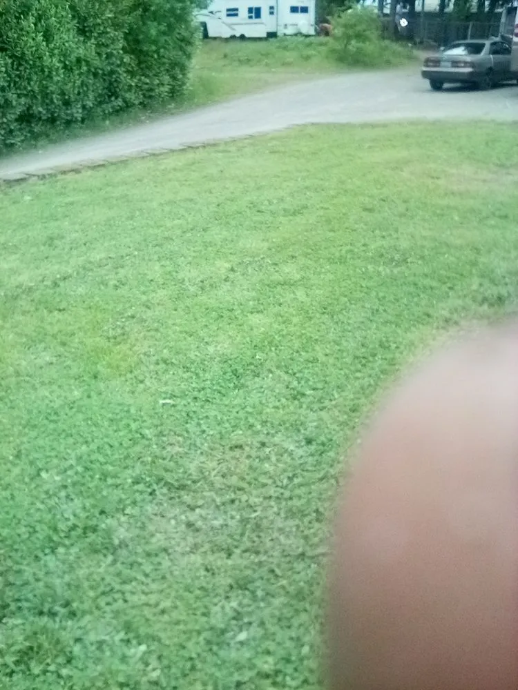 Professional landscaping services in Tacoma, WA - 1 Wolf Landscaping