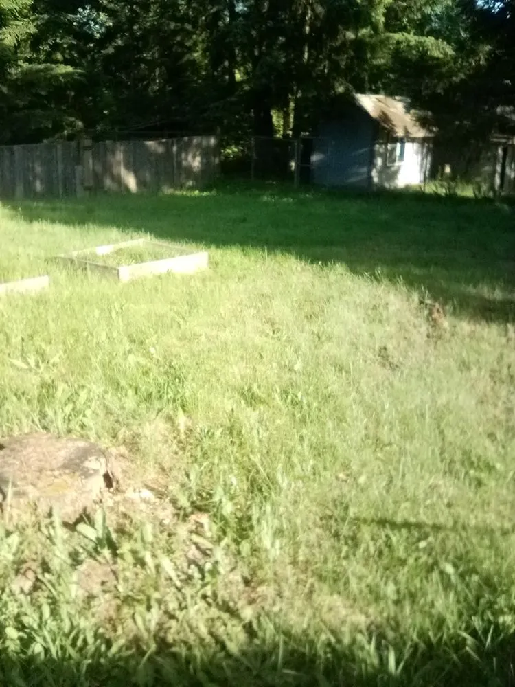 Affordable landscape design experts serving Tacoma, WA - 1 Wolf Landscaping