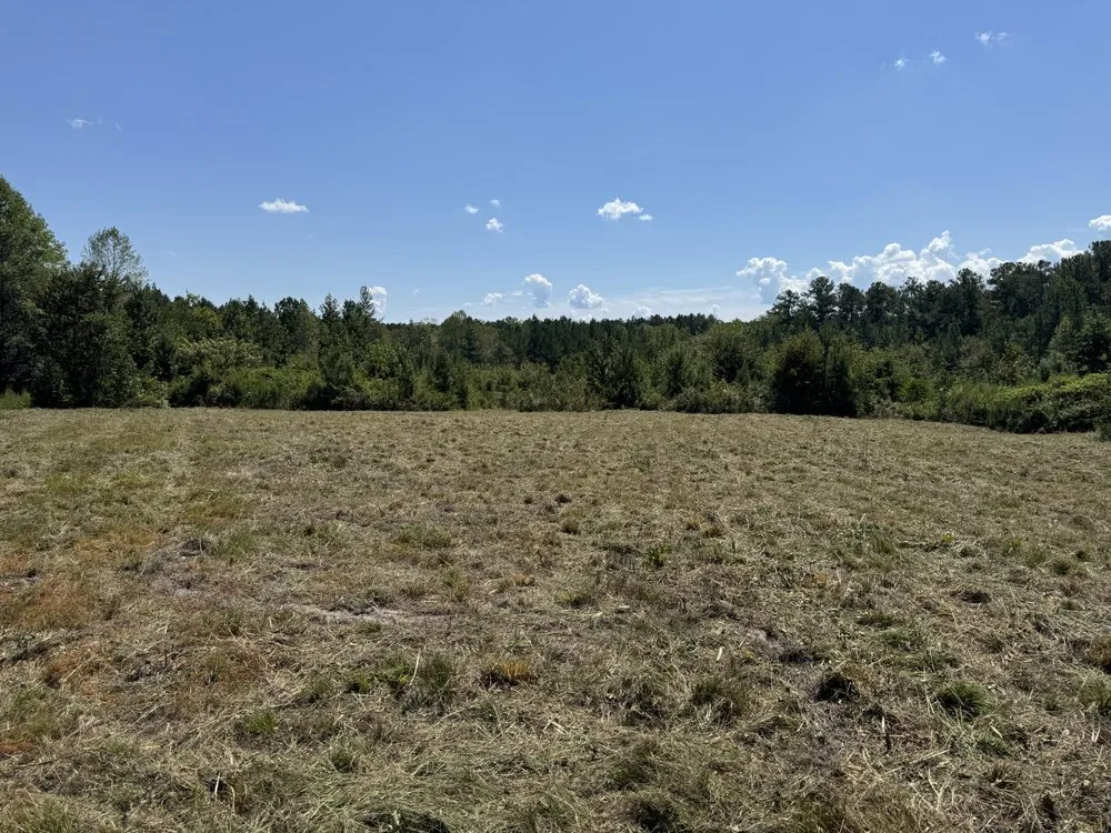 Custom landscape installation in Mount Gilead, NC - 10 42 Earthworks