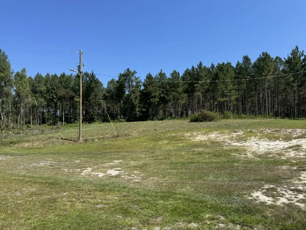 Reliable landscape installation in Mount Gilead, NC by 10 42 Earthworks