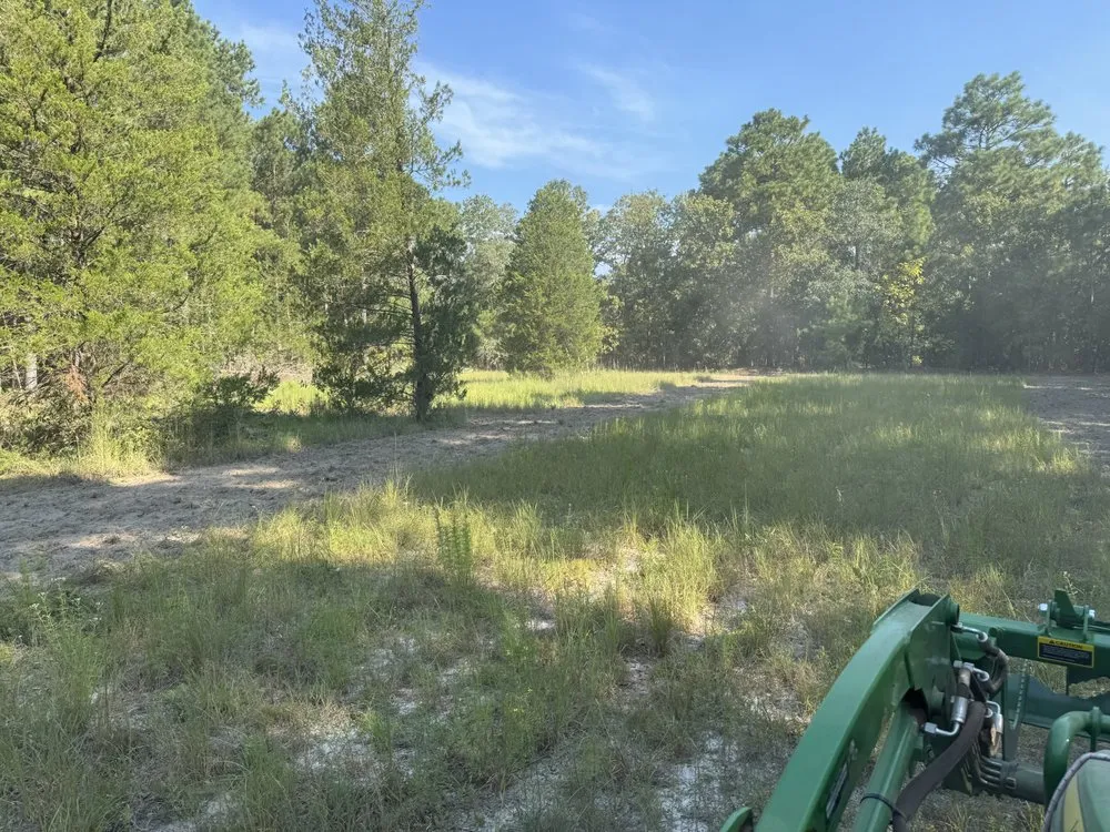 Trusted garden landscaping in Mount Gilead, NC by 10 42 Earthworks