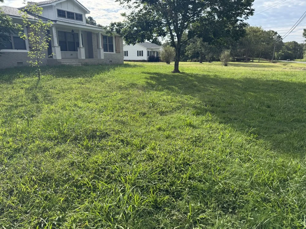 Reliable landscape design experts serving Mount Gilead, NC - 10 42 Earthworks