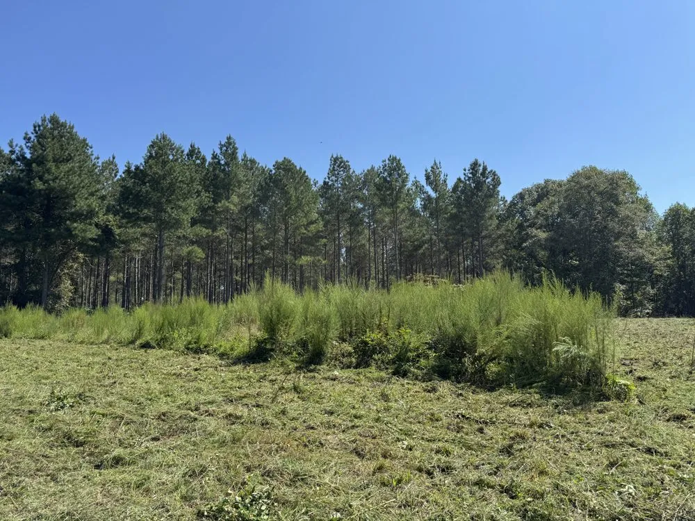 Professional residential landscaping experts serving Mount Gilead, NC - 10 42 Earthworks