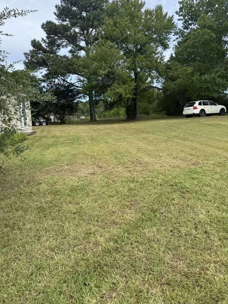 Reliable residential landscaping in Mount Gilead, NC - 10 42 Earthworks