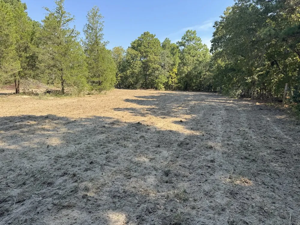 Expert landscape design for residential properties in Mount Gilead, NC by 10 42 Earthworks