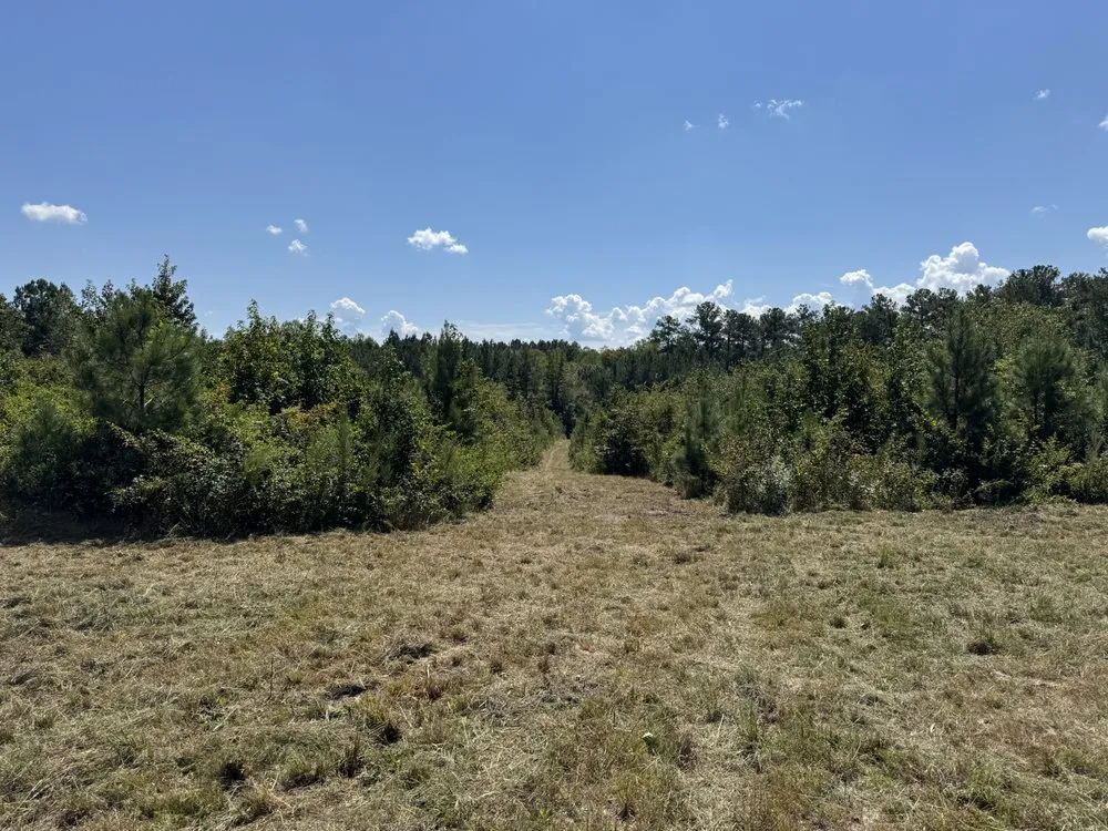 Affordable lawn mowing service in Mount Gilead, NC by 10 42 Earthworks