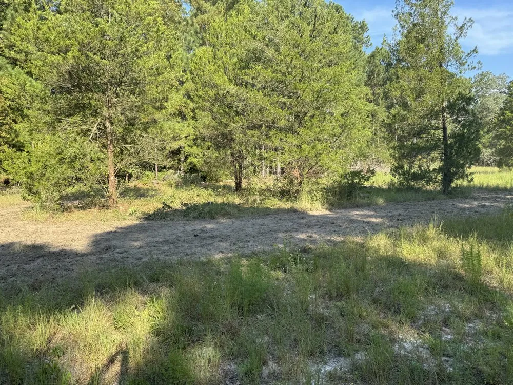 Reliable yard maintenance in Mount Gilead, NC by 10 42 Earthworks