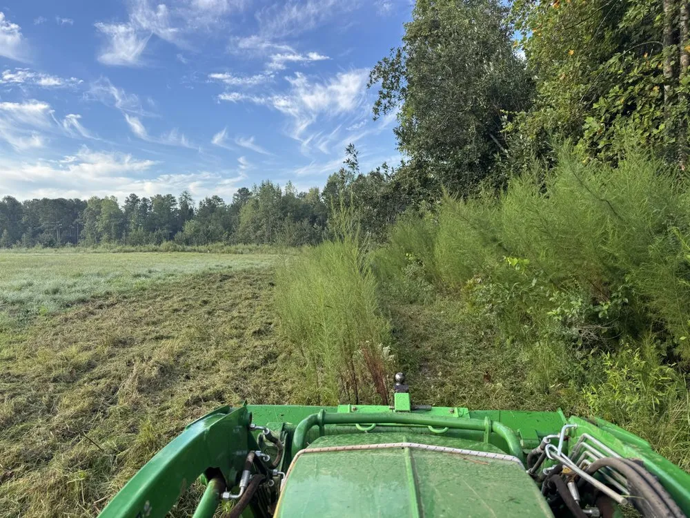 Professional yard cleanup service in Mount Gilead, NC - 10 42 Earthworks