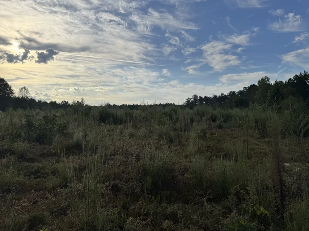 Custom landscape installation near you across Mount Gilead, NC - 10 42 Earthworks