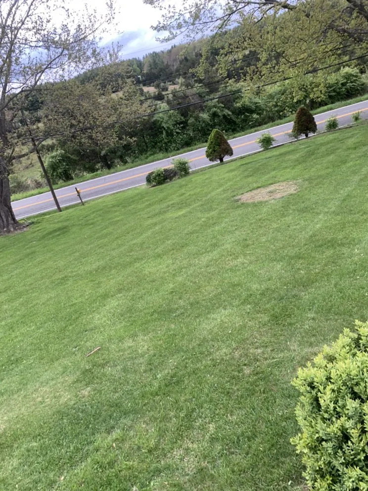 Reliable landscape installation for homes across Dublin, VA - 10 Point Landscaping and More