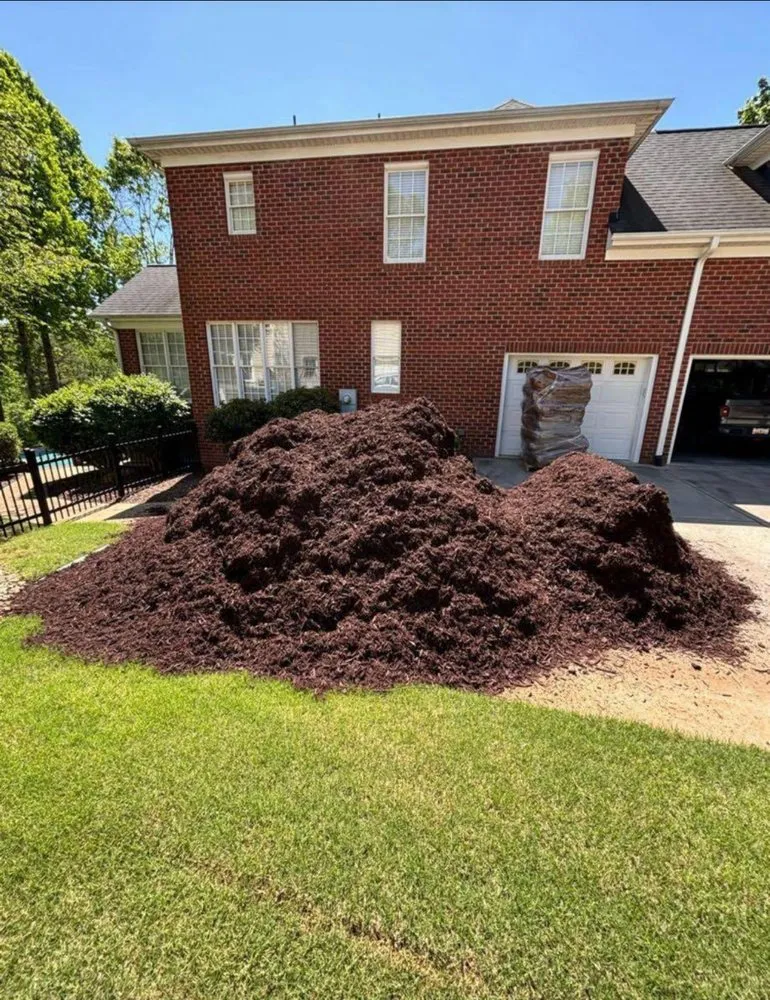 Expert landscaping services in Greenville, SC - 10 Point Lawn & Landscape