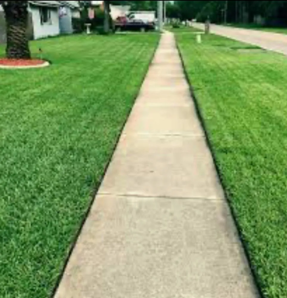 Top-rated outdoor landscaping experts serving Greenville, SC - 10 Point Lawn & Landscape