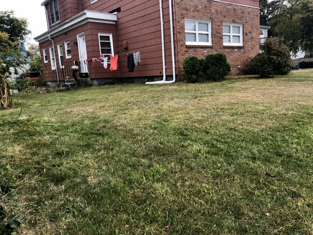 Top-rated yard maintenance for year-round maintenance in Brockton, MA by 10 Star Landscaping