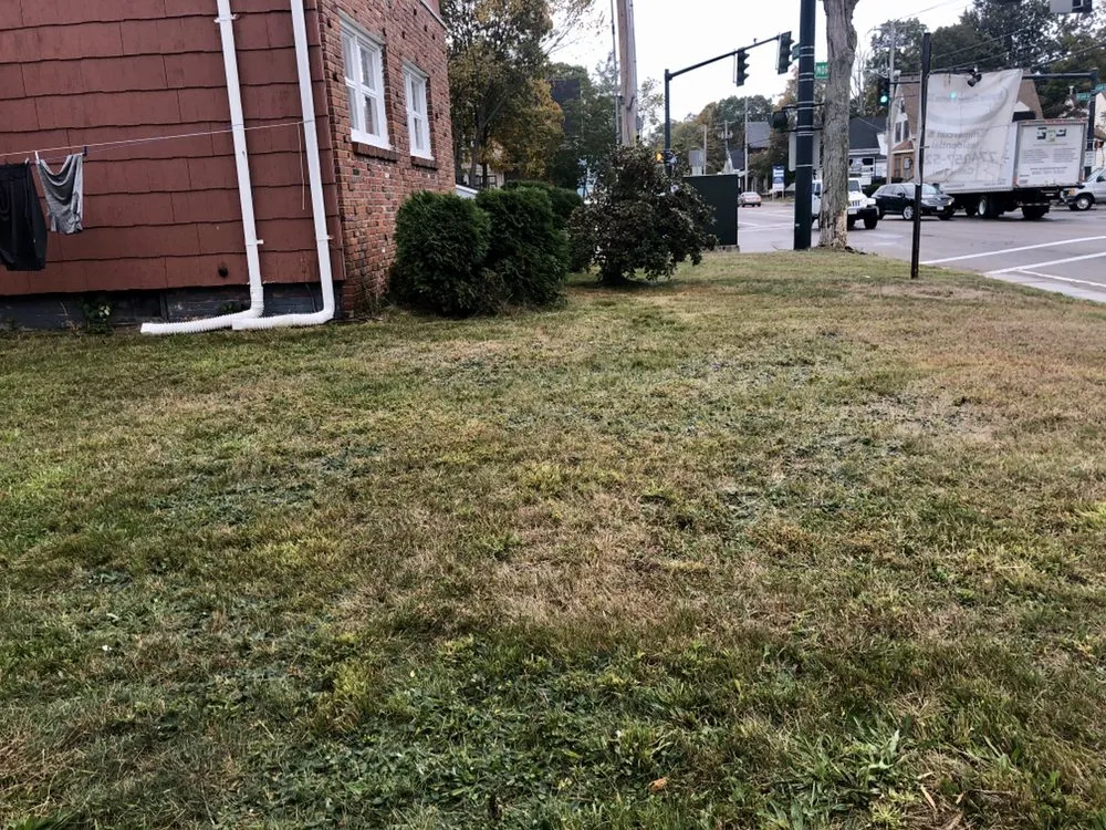 Trusted landscaping services experts serving Brockton, MA - 10 Star Landscaping