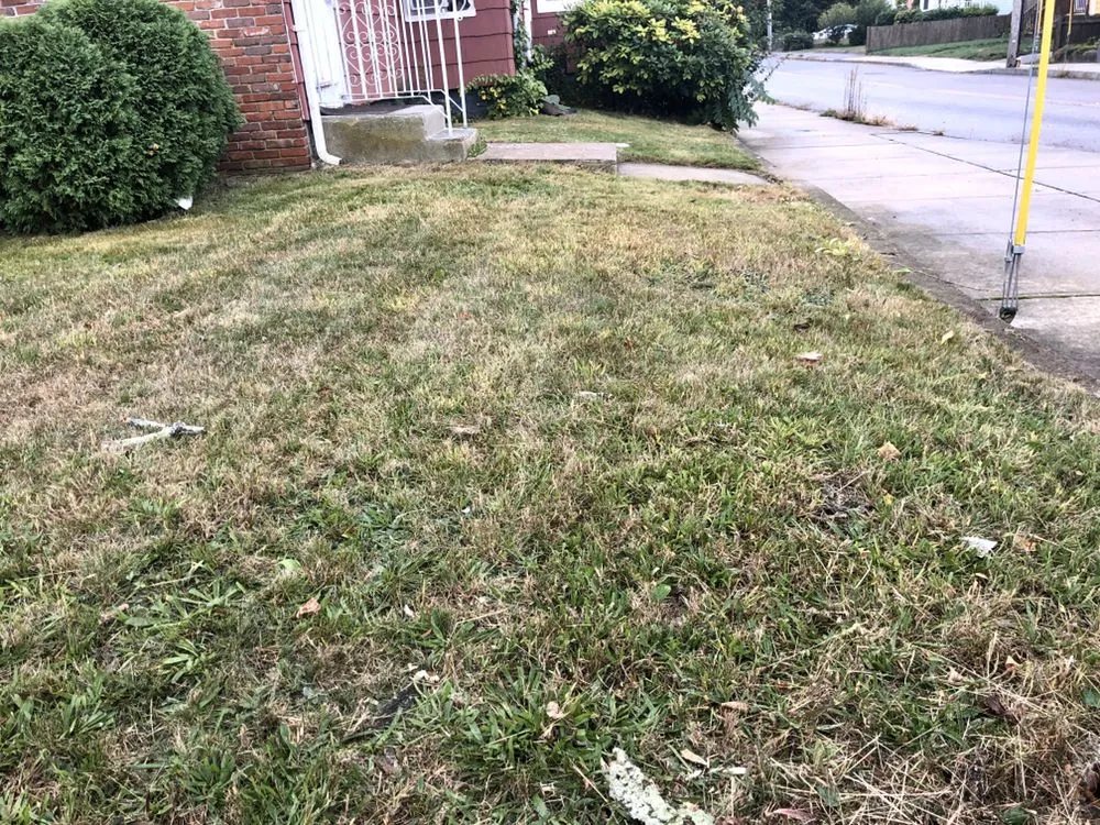 Top-rated yard maintenance in Brockton, MA by 10 Star Landscaping