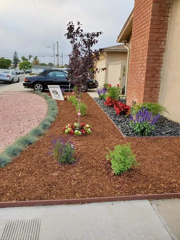 Professional yard maintenance in Camarillo, CA - 101 BL Treescapes