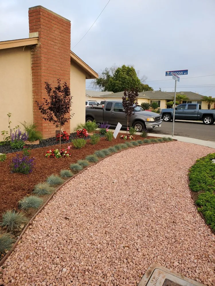 Top-rated yard cleanup service in Camarillo, CA - 101 BL Treescapes