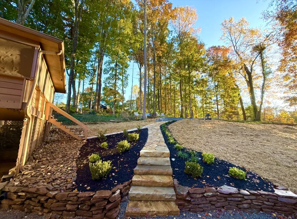 Expert lawn care service in Knoxville, TN by 101 Contractor