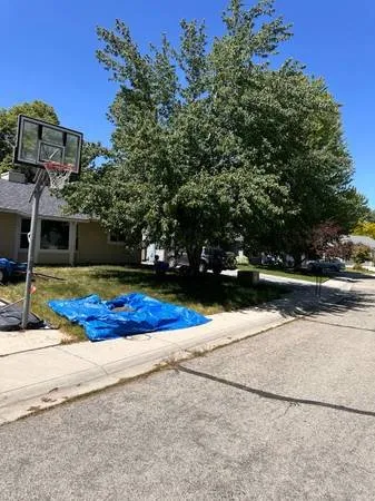 Affordable residential landscaping experts serving Boise, ID - 10/10 Lawn & Lighting