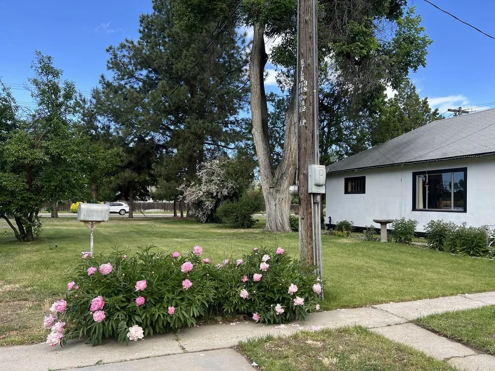 Professional residential landscaping experts serving Boise, ID - 10/10 Lawn & Lighting